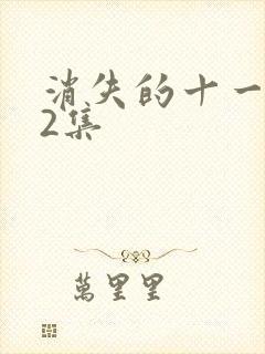 消失的十一层12集