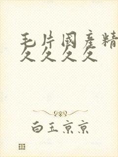 毛片国产精品久久久久久封面