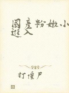 国产粉嫩小无套进入