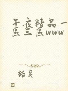 午夜精品一区二区三区www