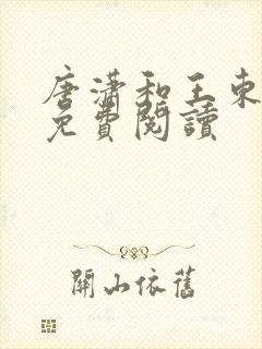 唐潇和王东小说免费阅读