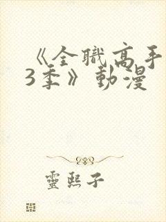 《全职高手 第3季》动漫