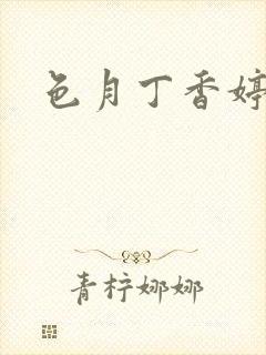 色月丁香婷婷封面