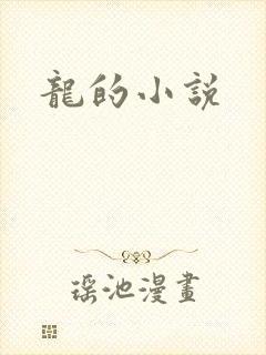 龙的小说