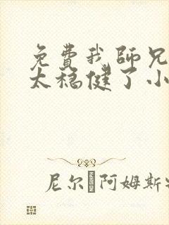 免费我师兄实在太稳健了小说封面