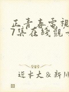 正青春电视剧47集在线观看免费