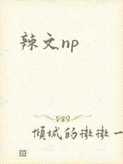 辣文np