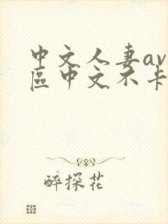 中文人妻av大区中文不卡