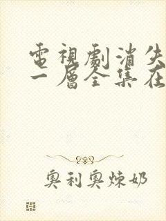 电视剧消失的十一层全集在线观看免费封面