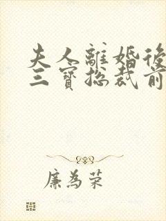 夫人离婚后一胎三宝总裁前夫他慌了