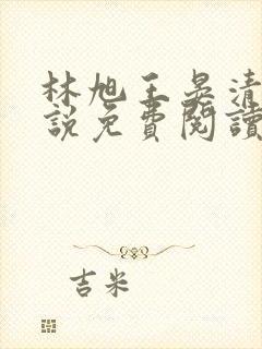 林旭王晏清的小说免费阅读