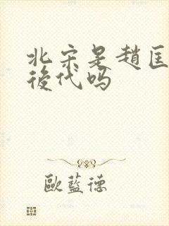 北宋是赵匡胤的后代吗