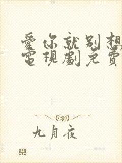 爱你就别想太多电视剧免费观看全集