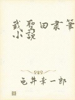 武圣田隶笔趣阁小说