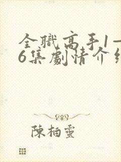 全职高手1—36集剧情介绍