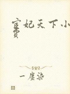 宦妃天下小说免费