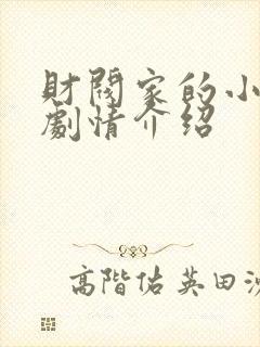 财阀家的小儿子剧情介绍