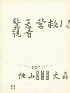 惊天营救1在线观看