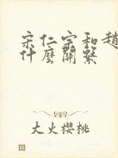 宋仁宗和赵匡胤什么关系