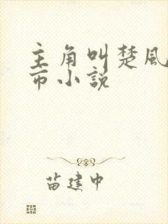 主角叫楚风的都市小说