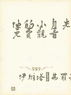 他的小月光短剧免费观看封面