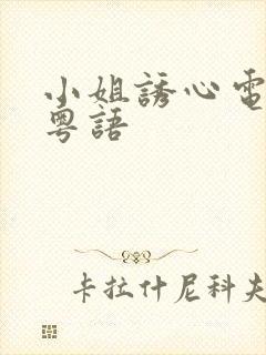 小姐诱心电视剧粤语