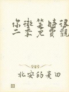 你微笑时很美第二季免费观看全集