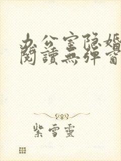 办公室隐婚免费阅读无弹窗笔趣阁封面