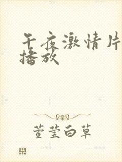 午夜激情片在线播放