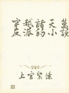 穿越诸天万界当反派的小说