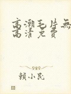 高潮毛片无遮挡高清免费