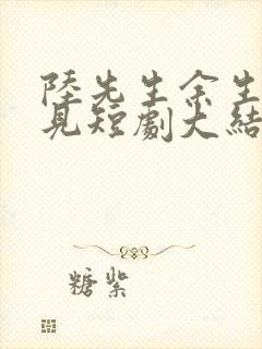 陆先生余生不再见短剧大结局封面