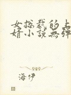 女总裁的上门龙婿小说无弹窗