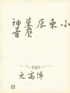 神墓辰东小说好看么