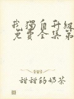 我独自升级动漫免费全集第二季