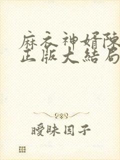 麻衣神婿陈黄皮正版大结局