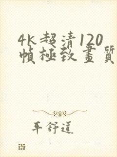4k超清120帧极致画质动态壁纸