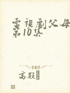 电视剧父母爱情第10集封面