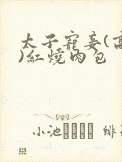 太子宠妾(高肉)红烧肉包封面