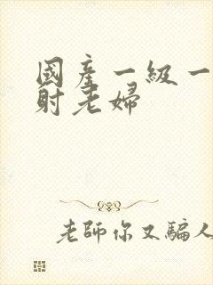 国产一级一片内射老妇