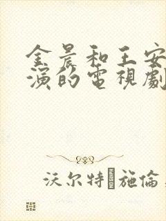 金晨和王安宇主演的电视剧