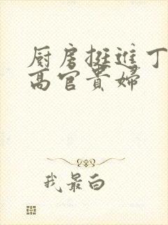 厨房挺进丁字裤高官贵妇