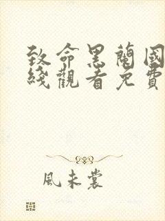 致命黑兰国语在线观看免费完整版封面