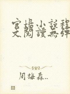 官场小说程竹全文阅读无弹窗