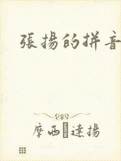 张扬的拼音封面