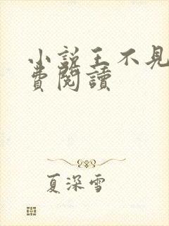 小说王不见王免费阅读