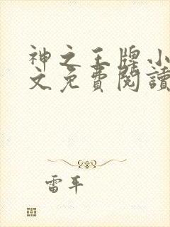 神之王牌小说全文免费阅读最新章节