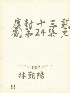 尘封十三载电视剧第24集免费观看