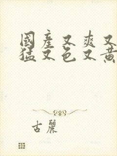 国产又爽又粗又猛又色又黄免