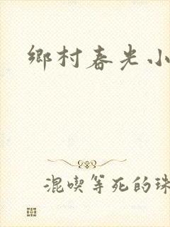 乡村春光小说